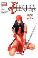 Elektra (2001) #28 cover