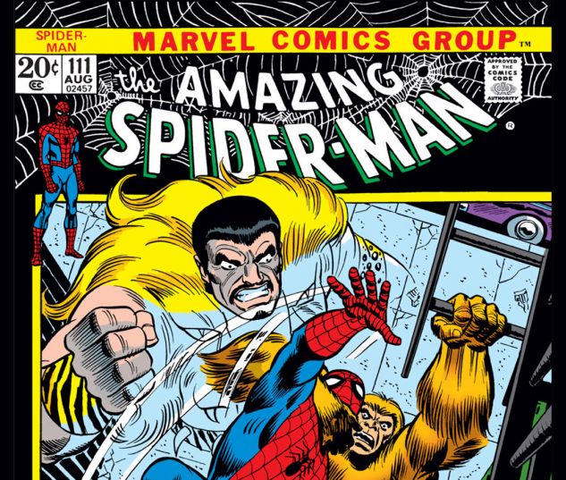 AMAZING SPIDER-MAN (1963) #111 Cover