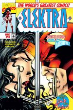 Elektra (1996) #13 cover