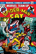 Marvel Team-Up (1972) #8 cover