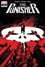 The Punisher (2018) #14 cover