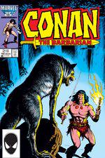 Conan the Barbarian (1970) #192 cover