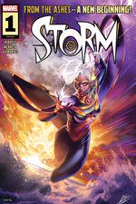 Storm (2024) #1 cover