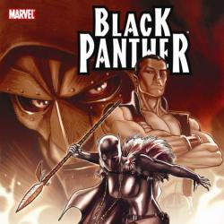 Black Panther: Power
