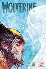 Wolverine (2010) #317 cover