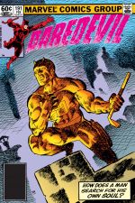 Daredevil (1964) #191 cover