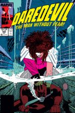 Daredevil (1964) #256 cover