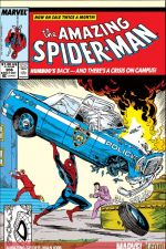 The Amazing Spider-Man (1963) #306 cover