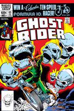 Ghost Rider (1973) #65 cover