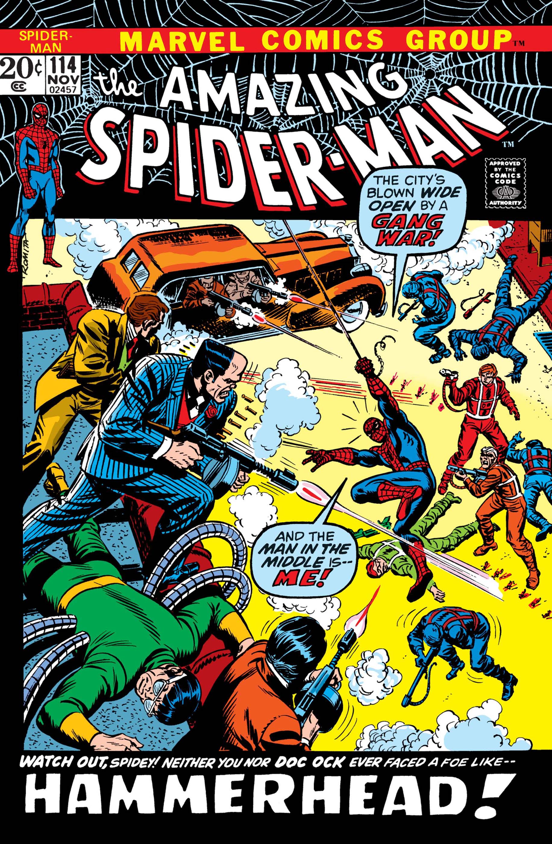 The Amazing Spider-Man (1963) #114