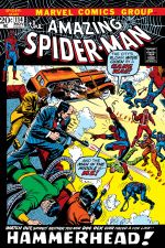 The Amazing Spider-Man (1963) #114 cover