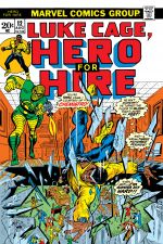 Hero for Hire (1972) #12 cover