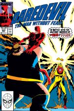 Daredevil (1964) #269 cover