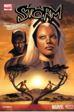 Storm (2006) #1 cover