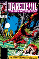 Daredevil (1964) #222 cover