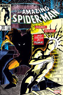 Amazing Spider-Man Facsimile Edition (2024) #256 cover