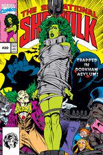 Sensational She-Hulk (1989) #20 cover