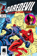 Daredevil (1964) #248 cover
