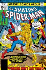 The Amazing Spider-Man (1963) #173 cover