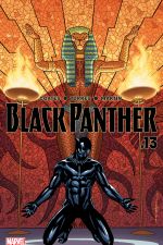 Black Panther (2016) #13 cover