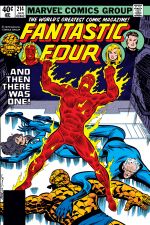 Fantastic Four (1961) #214 cover