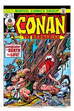 Conan the Barbarian (1970) #41 cover