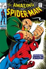 The Amazing Spider-Man (1963) #69 cover