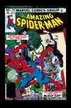 AMAZING SPIDER-MAN (2009) #204 COVER