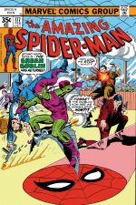 The Amazing Spider-Man (1963) #177 cover