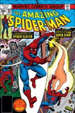 The Amazing Spider-Man (1963) #167 cover