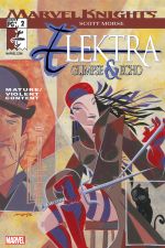 Elektra: Glimpse and Echo (2002) #2 cover