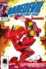 Daredevil (1964) #249 cover