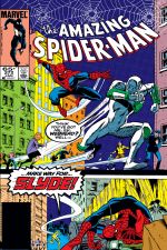 The Amazing Spider-Man (1963) #272 cover