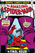 The Amazing Spider-Man (1963) #164 cover