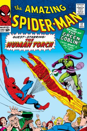 The Amazing Spider-Man (1963) #17