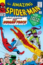 The Amazing Spider-Man (1963) #17 cover