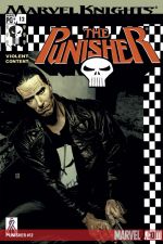 Punisher (2001) #12 cover