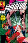 Daredevil (1964) #260