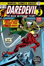 Daredevil (1964) #116 cover