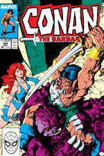 Conan the Barbarian (1970) #204 cover