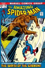 The Amazing Spider-Man (1963) #110 cover