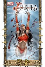 Elektra (2001) #30 cover