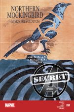 Secret Avengers (2013) #14 cover