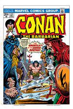 Conan the Barbarian (1970) #33 cover