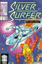 Silver Surfer (1987) #19 cover