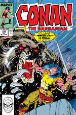 Conan the Barbarian (1970) #220 cover