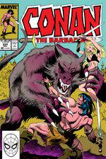 Conan the Barbarian (1970) #224 cover