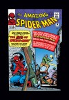Amazing Spider-Man (1963) #18