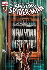 Amazing Spider-Man (1999) #678 cover