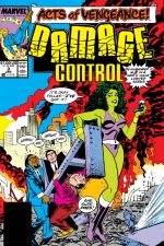 Damage Control (1989) #3 cover